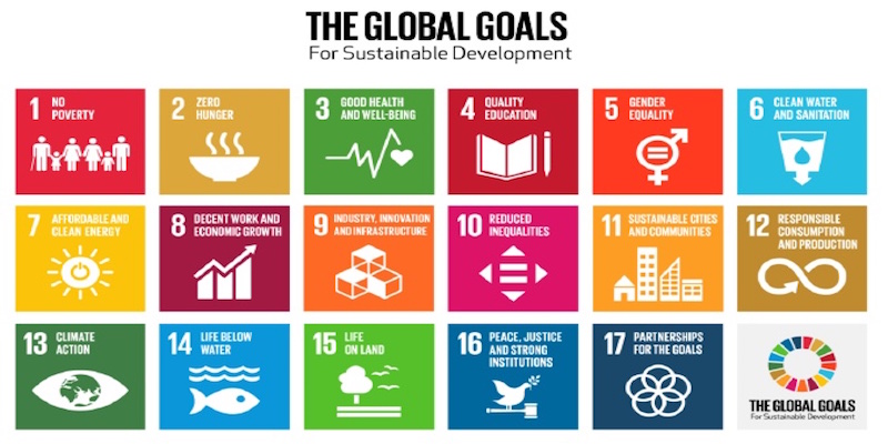  I 17 Obiettivi  per lo Sviluppo Sostenibile